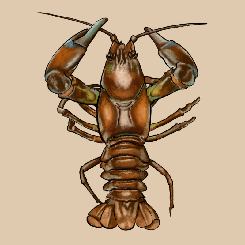 Crawfish Heavyweight Sweatshirt by FaDigitalArtStudio | Teevron