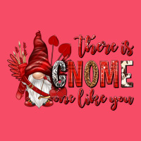 There Is Gnome One Like You Premium Sweatshirt | Teevron