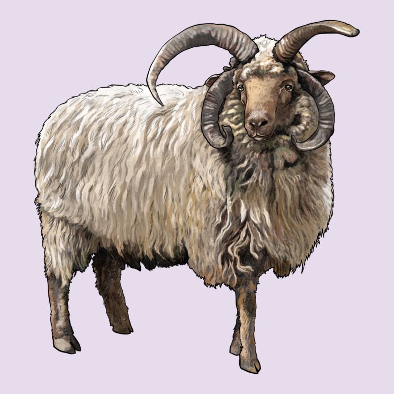 Navajo Churro Sheep Premium Hoodie by LillyAllenDesigns | Teevron