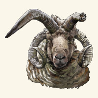 Navajo Churro Sheep Head Premium Hoodie | Teevron