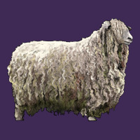 Lincoln Sheep Premium Hoodie | Teevron