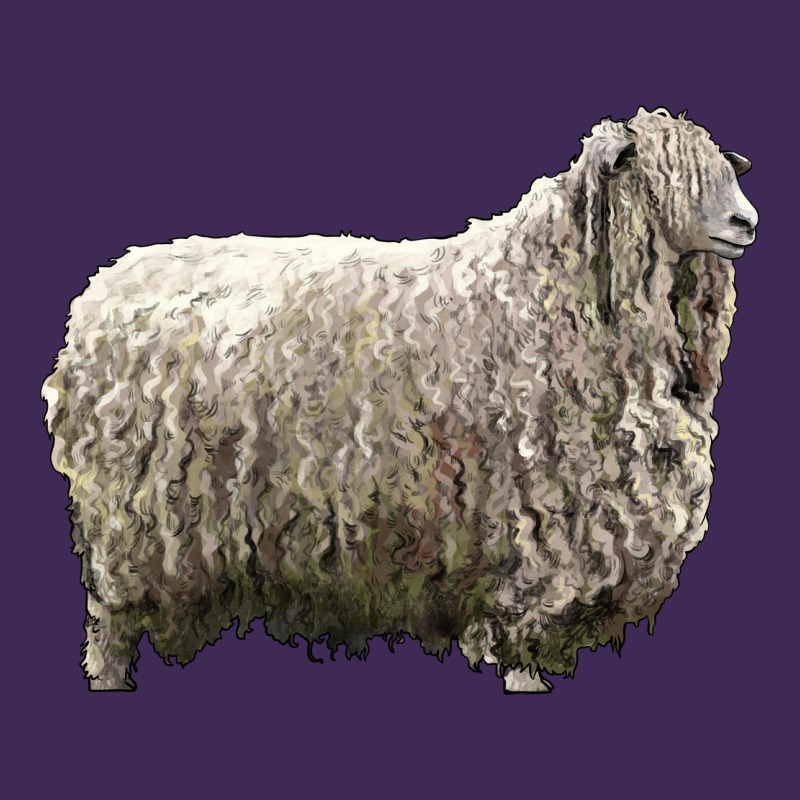 Lincoln Sheep Premium Hoodie by LillyAllenDesigns | Teevron