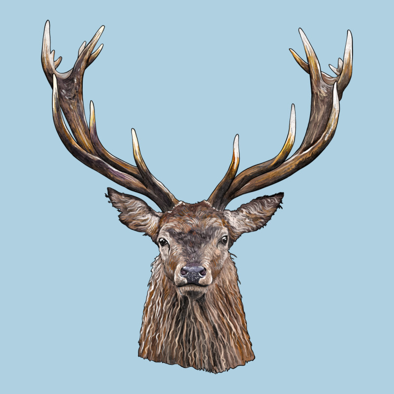 Elk Deer Head Premium Hoodie by LillyAllenDesigns | Teevron