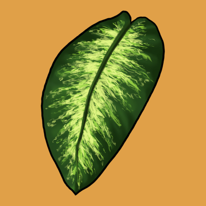 Dumb Cane Leaf Premium Hoodie by LillyAllenDesigns | Teevron