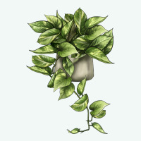 Golden Pothos Premium Hoodie | Teevron
