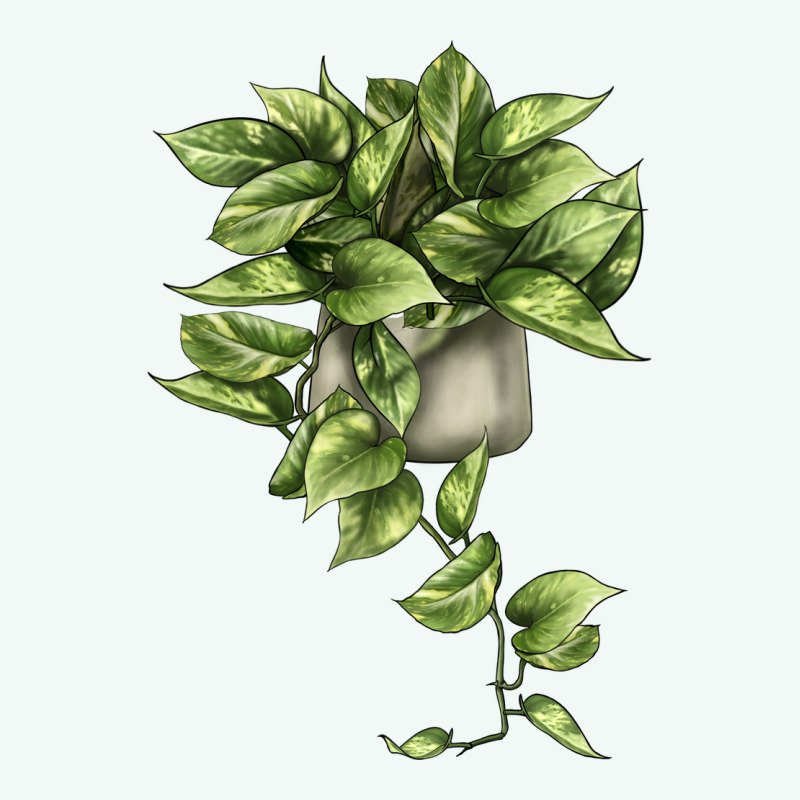 Golden Pothos Premium Hoodie by LillyAllenDesigns | Teevron