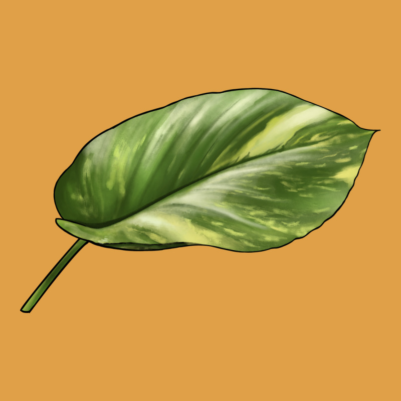 Golden Pothos Leaf Premium Hoodie by LillyAllenDesigns | Teevron