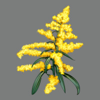 Botanical Goldenrod Illustrations Premium Hoodie | Teevron