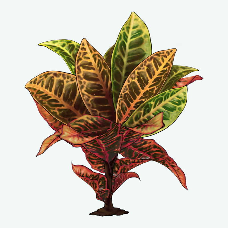 Croton Premium Hoodie by LillyAllenDesigns | Teevron