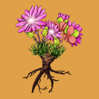 Bitterroot Flower Illustrations Premium Hoodie | Teevron