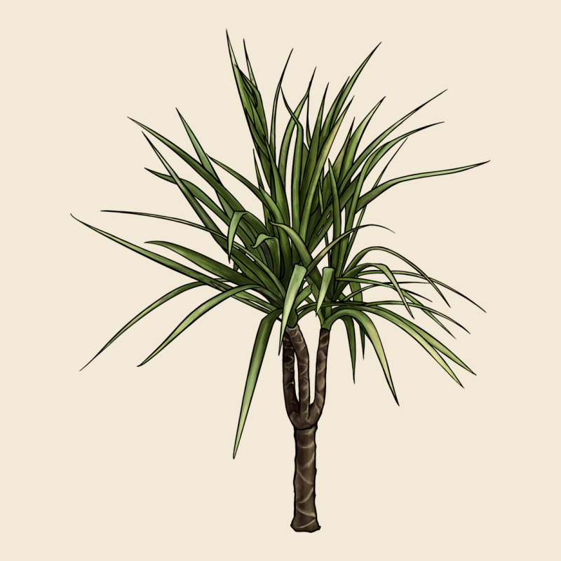 Dracaena Marginata Premium Hoodie by LillyAllenDesigns | Teevron