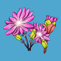 Bitterroot Flower Illustrations Premium Hoodie | Teevron