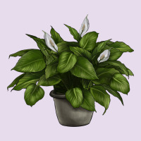Peace Lily Premium Hoodie | Teevron
