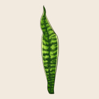 Snake Plant Zipper Hoodie | Teevron