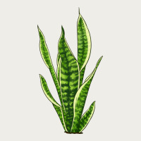 Snake Plant Zipper Hoodie | Teevron