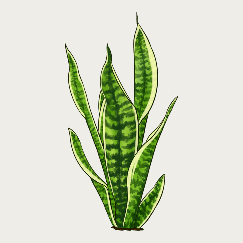 Snake Plant Zipper Hoodie by LillyAllenDesigns | Teevron