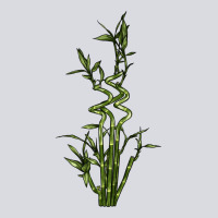 Lucky Bamboo Zipper Hoodie | Teevron