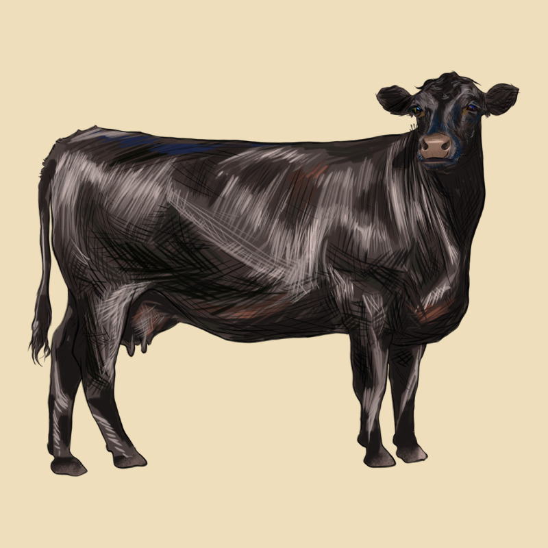 Black Angus Cow Premium Hoodie by LillyAllenDesigns | Teevron