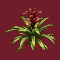 Bromeliads Zipper Hoodie | Teevron