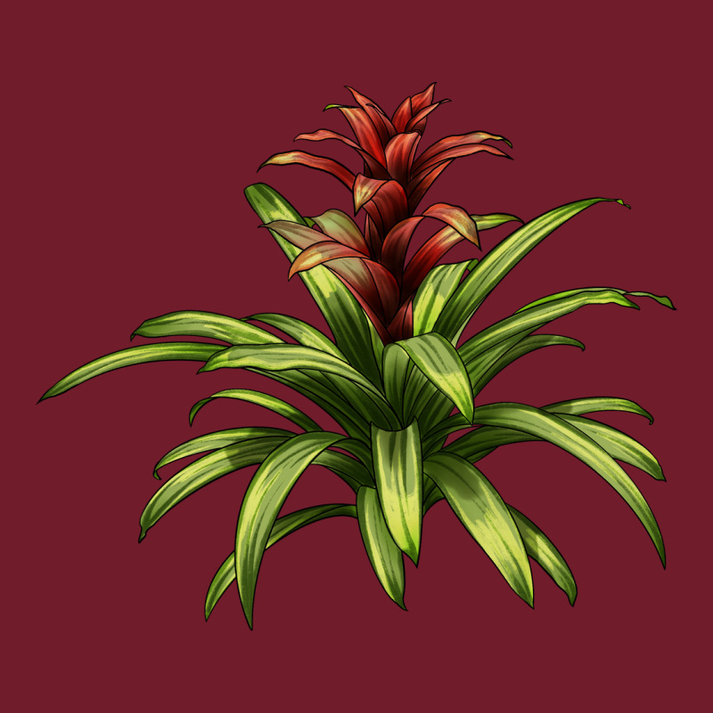 Bromeliads Zipper Hoodie by LillyAllenDesigns | Teevron