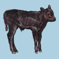 Black Angus Calf Illustrations Premium Hoodie | Teevron