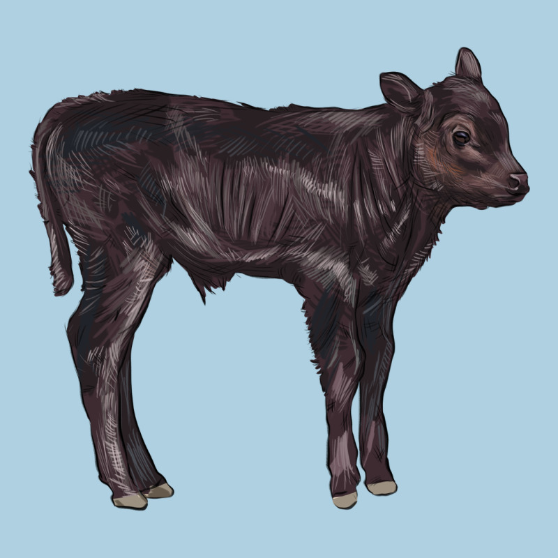 Black Angus Calf Illustrations Premium Hoodie by LillyAllenDesigns | Teevron