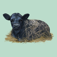 Black Angus Calf Illustrations Premium Hoodie | Teevron