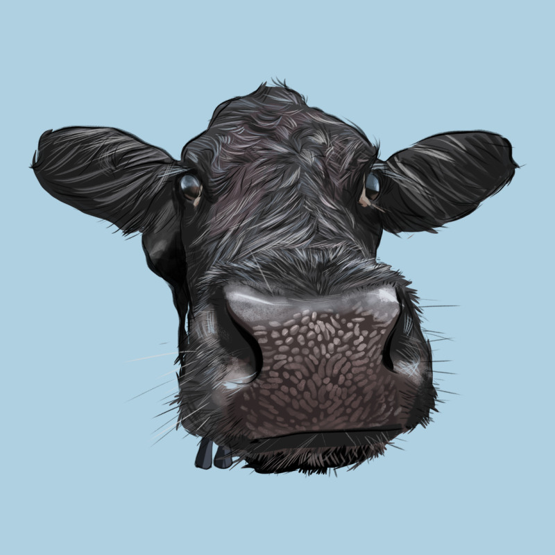 Black Angus Heifer Premium Hoodie by LillyAllenDesigns | Teevron