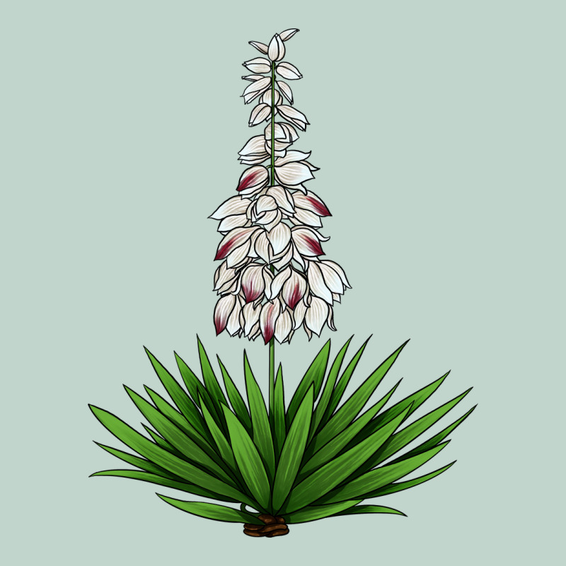Yucca Flower Iiiustrations Zipper Hoodie by LillyAllenDesigns | Teevron