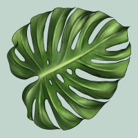 Monstera Leaf Zipper Hoodie | Teevron