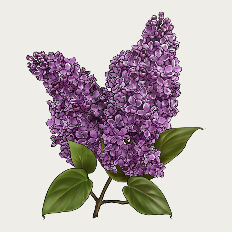 Purple Lilac Flower Illustrations Zipper Hoodie by LillyAllenDesigns | Teevron