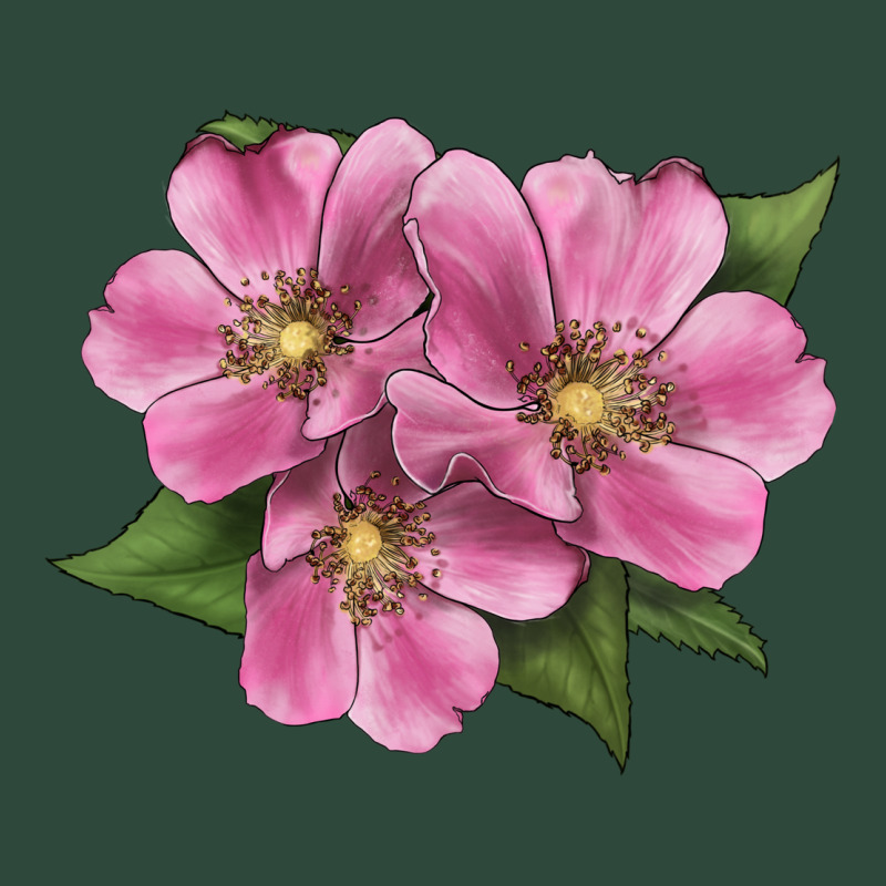 Wild Prairie Rose Illustrations Zipper Hoodie by LillyAllenDesigns | Teevron