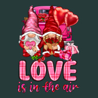 Love Is In The Air With Gnomies Premium Sweatshirt | Teevron