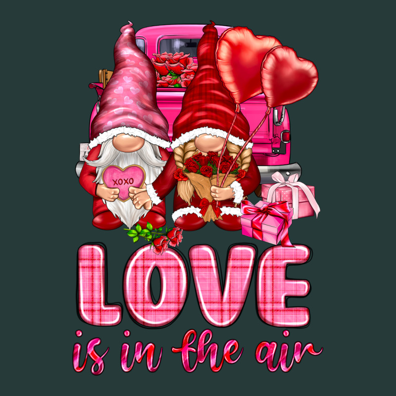 Love Is In The Air With Gnomies Premium Sweatshirt by NancyCooperArtShop | Teevron