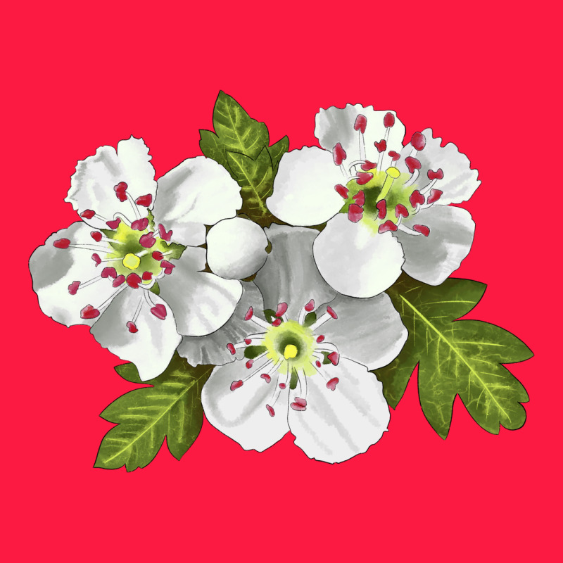 Hawthorn Flower Illustrations Zipper Hoodie by LillyAllenDesigns | Teevron
