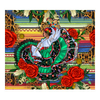 flamenco dancer tumbler | Teevron