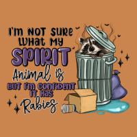 Spirit Animal Raccoon Heavyweight Hoodie | Teevron