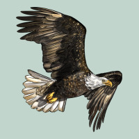 White Headed Eagle Zipper Hoodie | Teevron