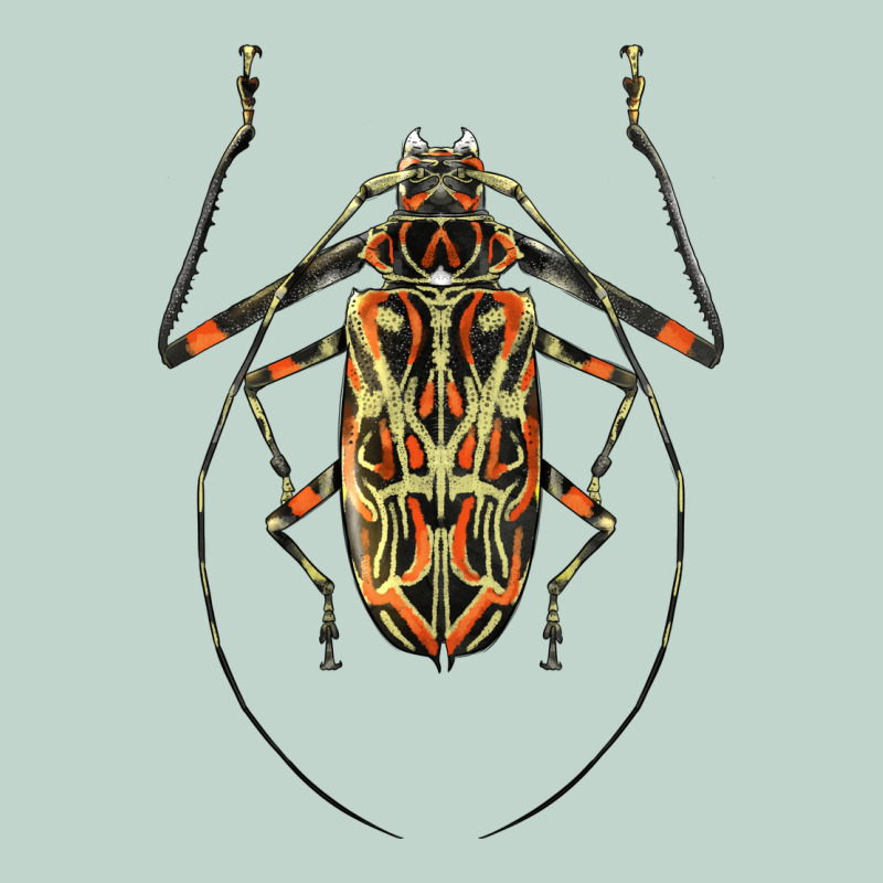 Acrocinus Beetle Illustrations Zipper Hoodie by LillyAllenDesigns | Teevron