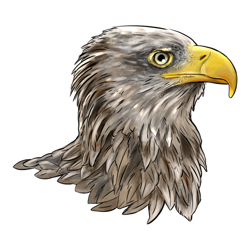 American White Sea Eagle Head Zipper Hoodie by LillyAllenDesigns | Teevron