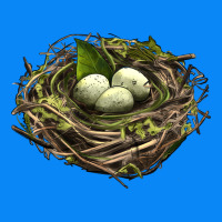 Bird Nest With Eggs Zipper Hoodie | Teevron