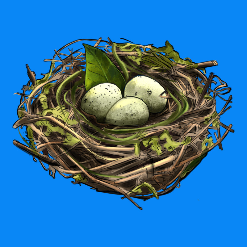Bird Nest With Eggs Zipper Hoodie by LillyAllenDesigns | Teevron