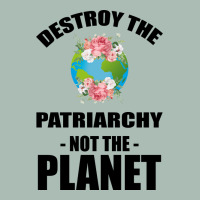 Destroy The Patriarchy Not The Planet Classic Tee | Teevron