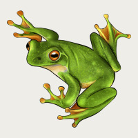 White Lipped Tree Frog Illustrations Zipper Hoodie | Teevron