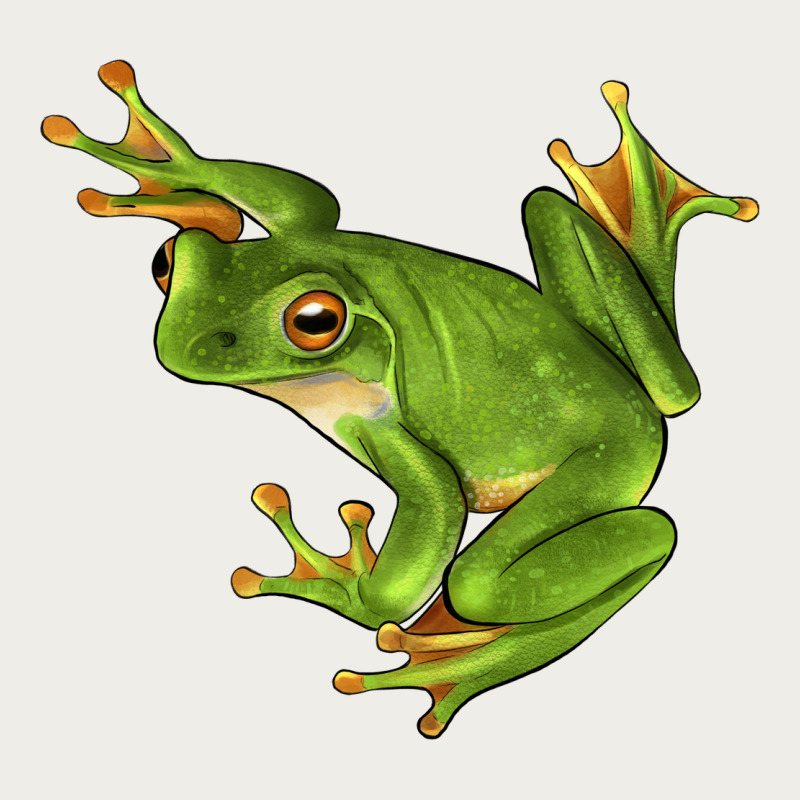 White Lipped Tree Frog Illustrations Zipper Hoodie by LillyAllenDesigns | Teevron