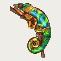 Chameleon Lizard Illustrations Zipper Hoodie | Teevron