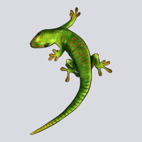 Green Lizard Illustrations Zipper Hoodie | Teevron