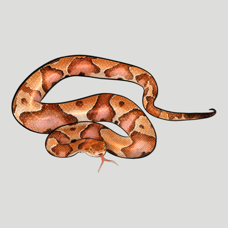 Copperhead Snake Illustrations Zipper Hoodie by LillyAllenDesigns | Teevron