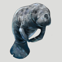 Manatee Illustrations Zipper Hoodie | Teevron