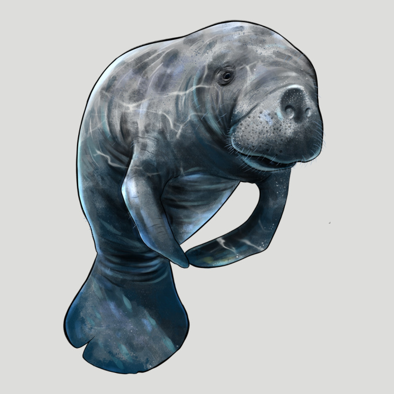 Manatee Illustrations Zipper Hoodie by LillyAllenDesigns | Teevron